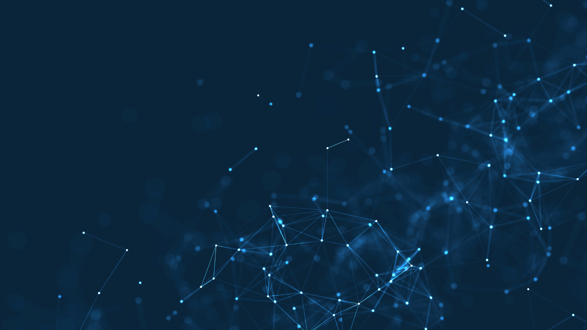 Supply Chain Network